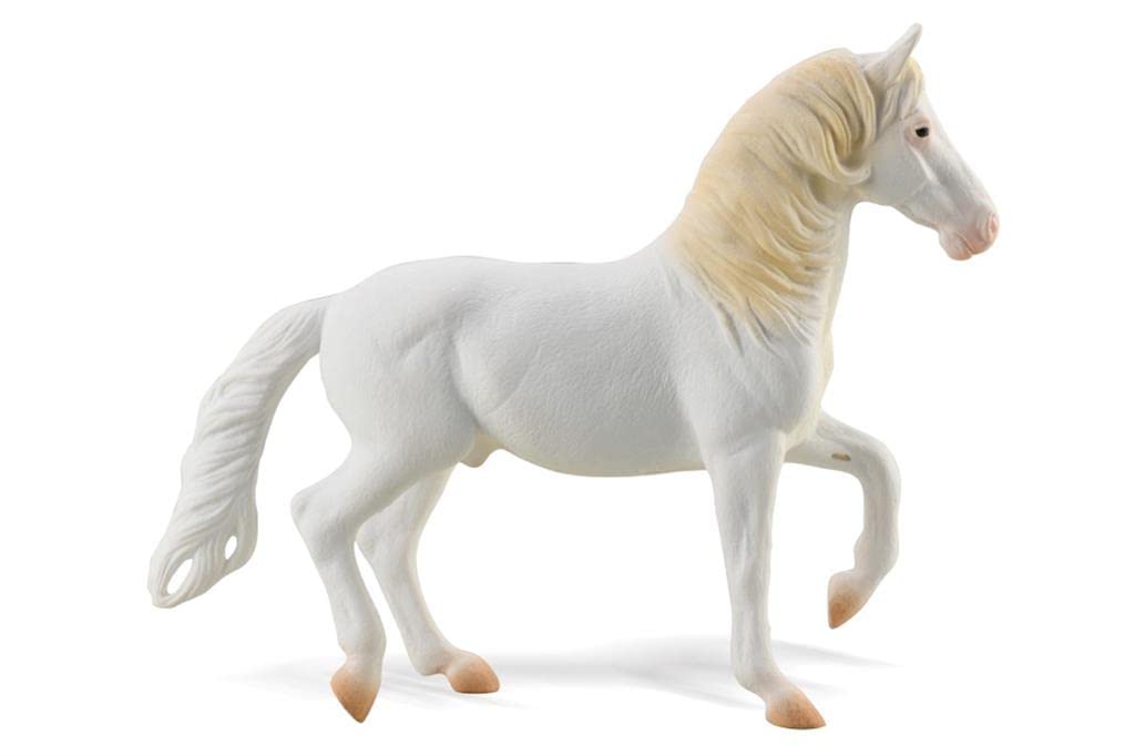 Amazon.com: CollectA Camarillo White Horse Collectable Figurine